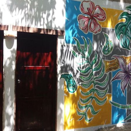 Mi Cuartito En Bacalar Lägenhet Exteriör bild