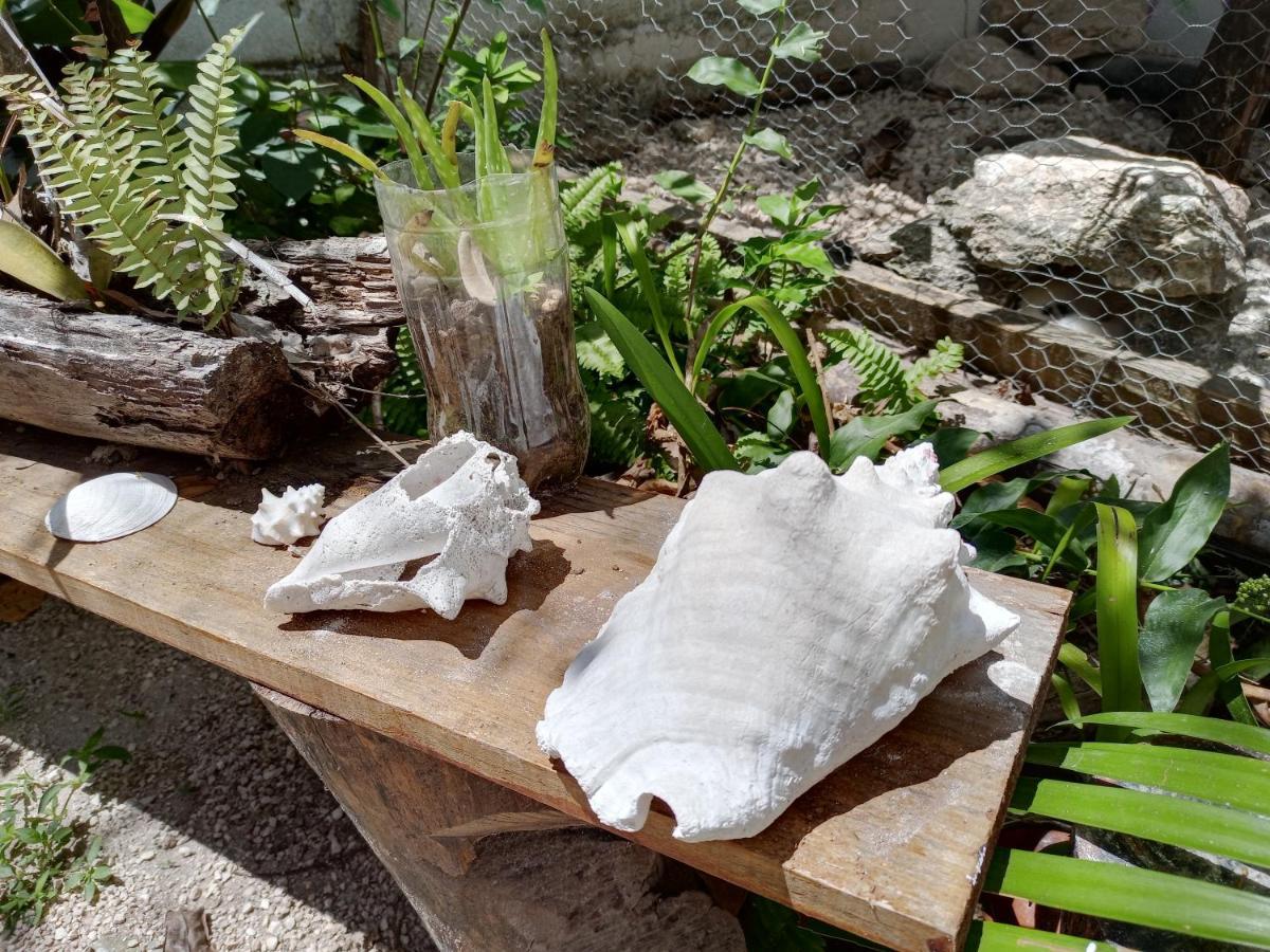 Mi Cuartito En Bacalar Lägenhet Exteriör bild