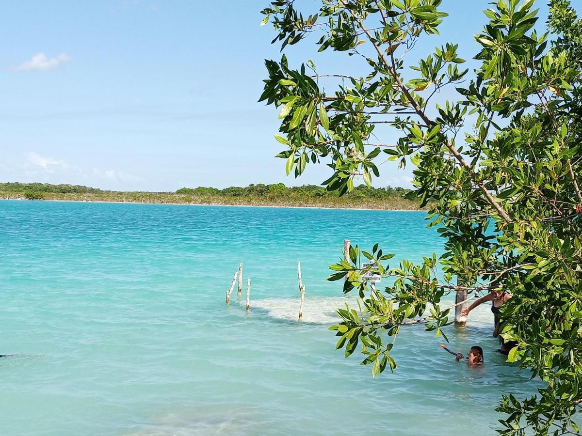 Mi Cuartito En Bacalar Lägenhet Exteriör bild